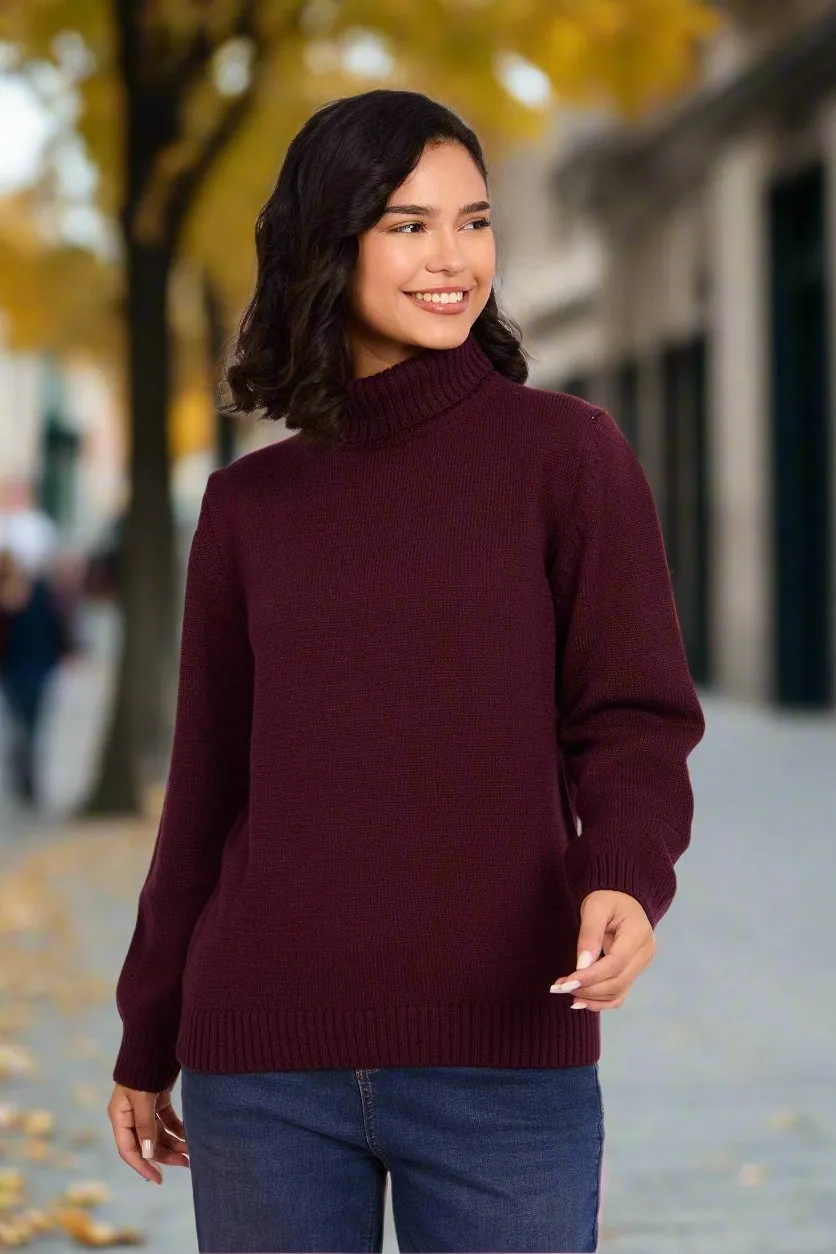 Women Mock Neck Regular Fit Pullover